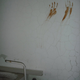Illustration for article titled These photographs of present-day Chernobyl are utterly haunting